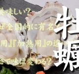 Why are Hiroshima oysters so famous nationwide? Learn about the reasons and how they are grown.